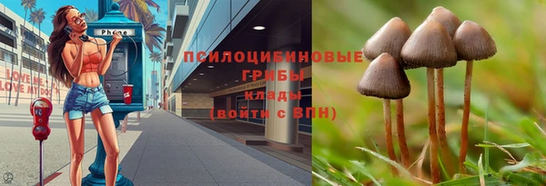 MDMA Premium VHQ Вяземский