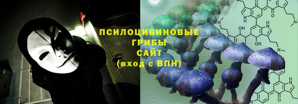 прущие грибы Вязьма