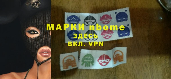 прущие грибы Вязьма