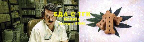 прущие грибы Вязьма