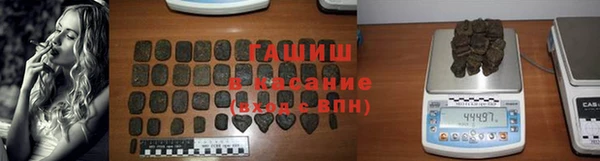 прущие грибы Вязьма