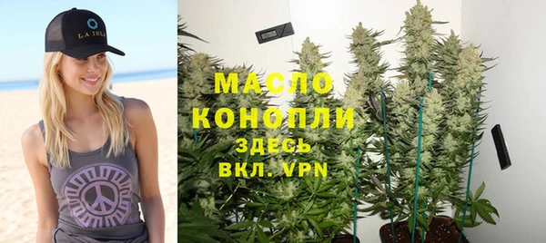 прущие грибы Вязьма