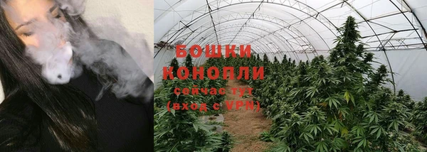 прущие грибы Вязьма