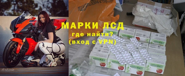 прущие грибы Вязьма