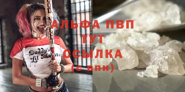 прущие грибы Вязьма