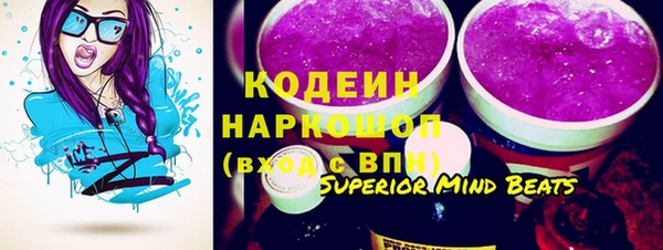 прущие грибы Вязьма