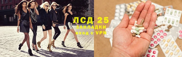 прущие грибы Вязьма