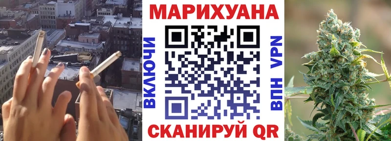 Шишки марихуана конопля  Купить где  Кудрово 